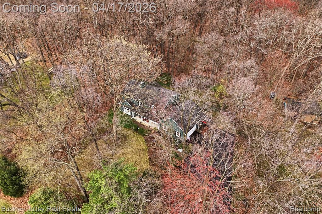 539 Bonnie Circle, Howell, MI 48843 — Photo 41