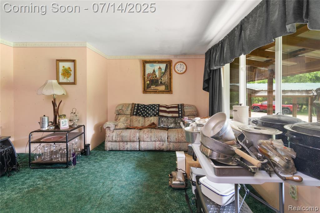 873 N Blacks Corners Road, Imlay City, MI 48444 — Photo 5