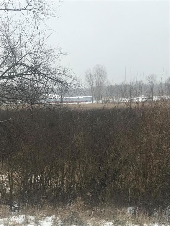 VL Hinchey Road, Pinckney, MI 48169 — Photo 2