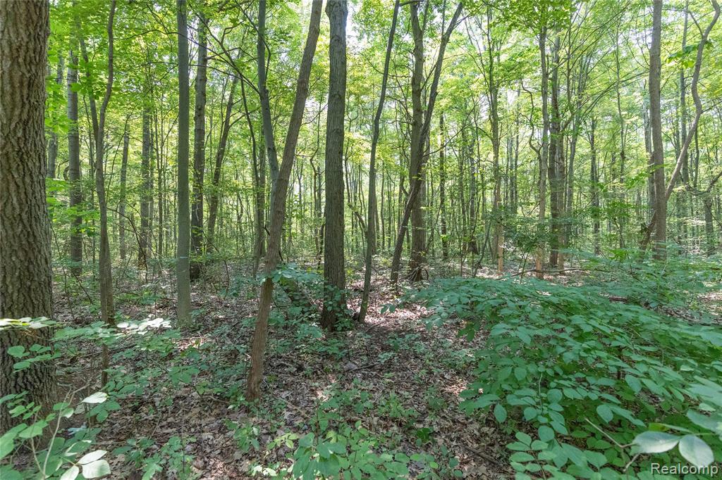 14405 Rawsonville Road, Belleville, MI 48111 — Photo 28