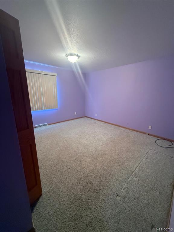 4338 Mertz Road, Mayville Vlg, MI 48744 — Photo 9