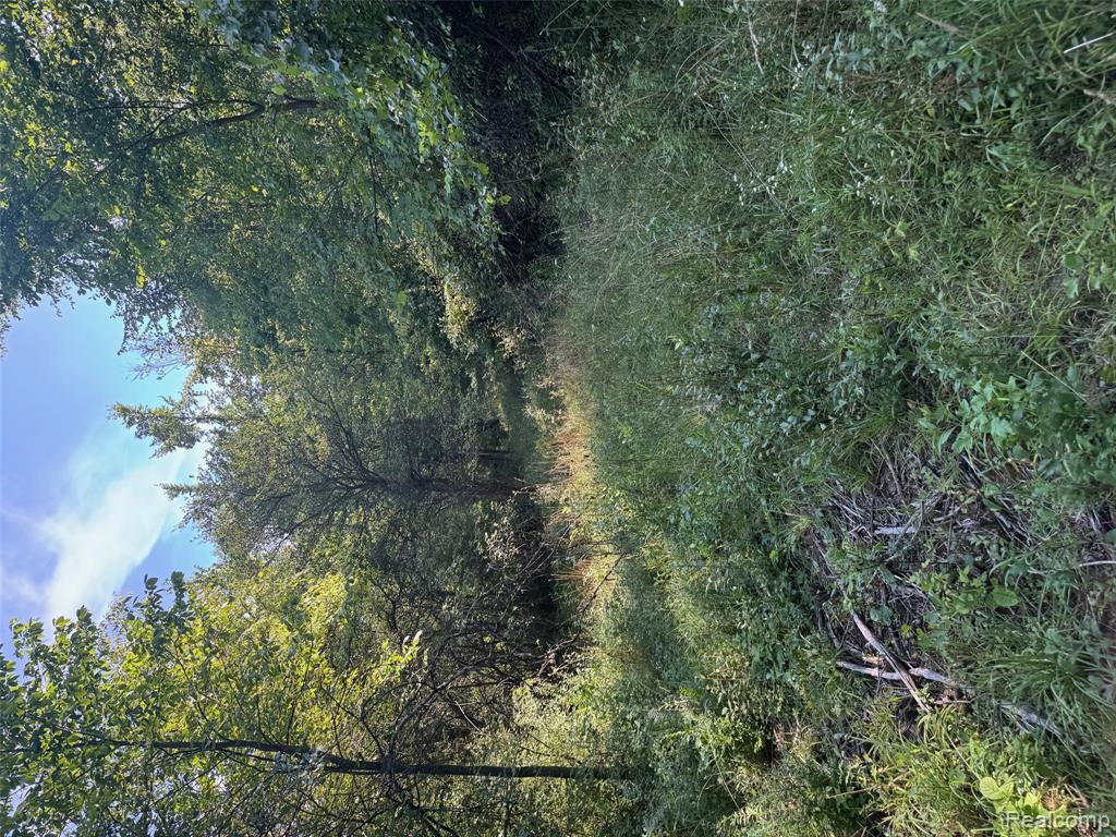 VL S Mill Road, Dryden, MI 48428 — Photo 12