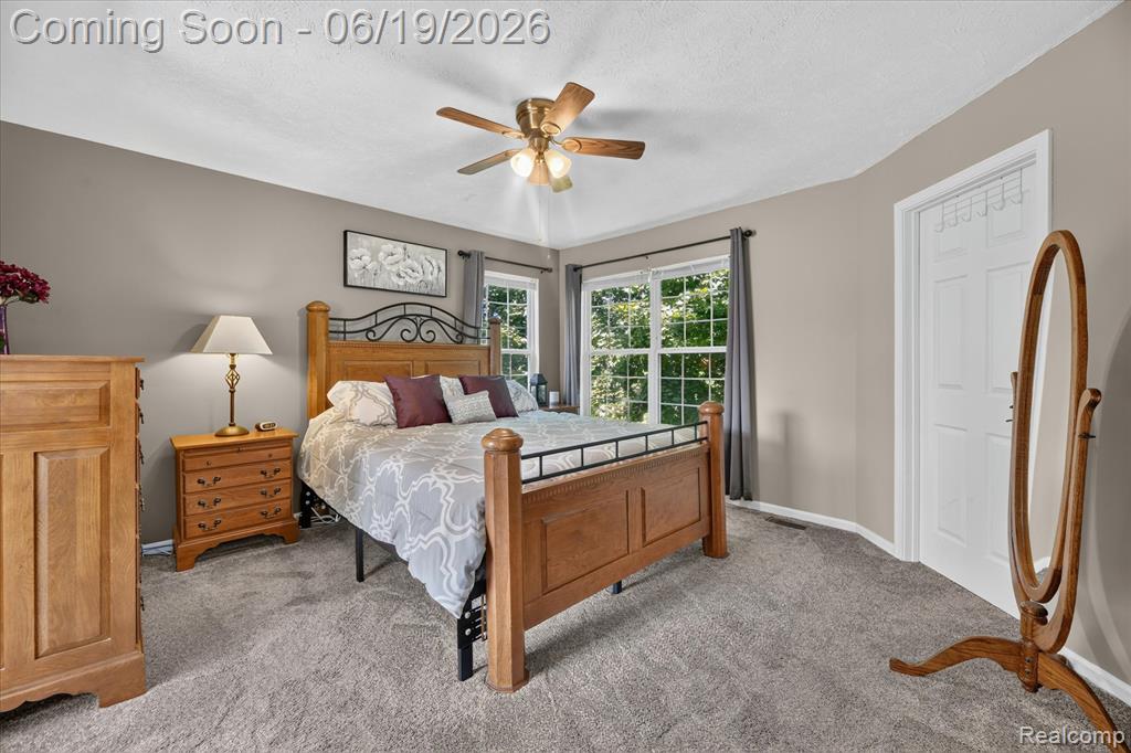 5900 Carter Court, Howell, MI 48843 — Photo 24