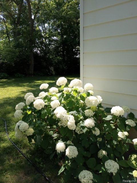 3920 W ELLSWORTH Road, Ann Arbor, MI 48103 — Photo 12