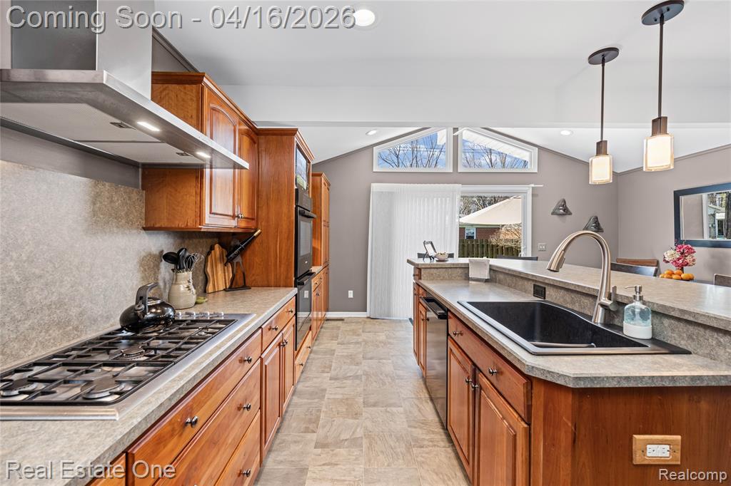 25202 Anchorage Street, Harrison Township, MI — Photo 21