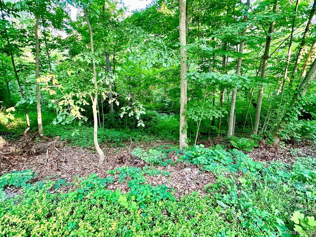 41769 FRET Road, Belleville, MI 48111 — Photo 5