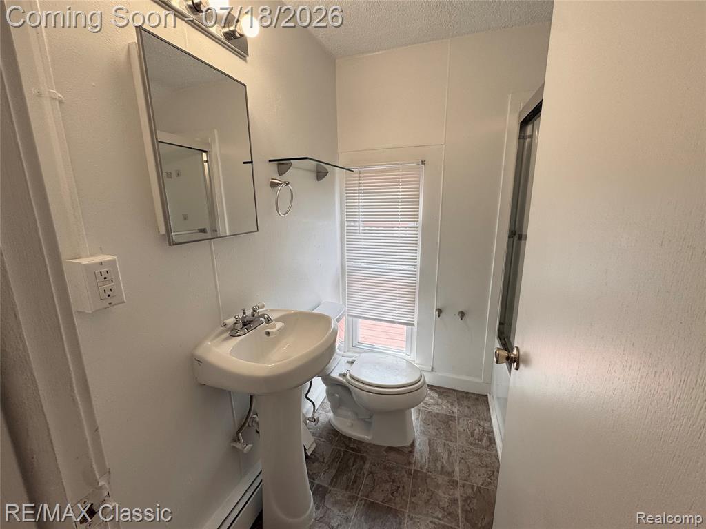 486 Hamilton Street, Plymouth, MI 48170 — Photo 13