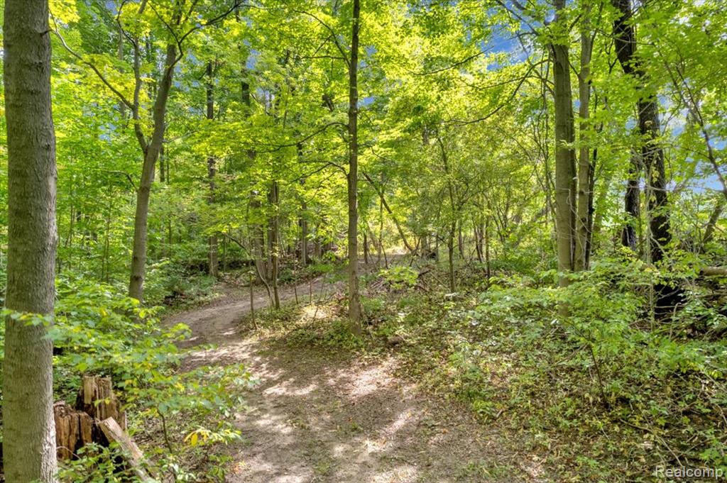 474 N Summers Road, Imlay City, MI 48444 — Photo 56