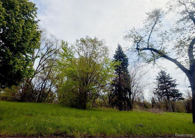 6008 Malcolm Street, Detroit, MI 48213 — Photo 4