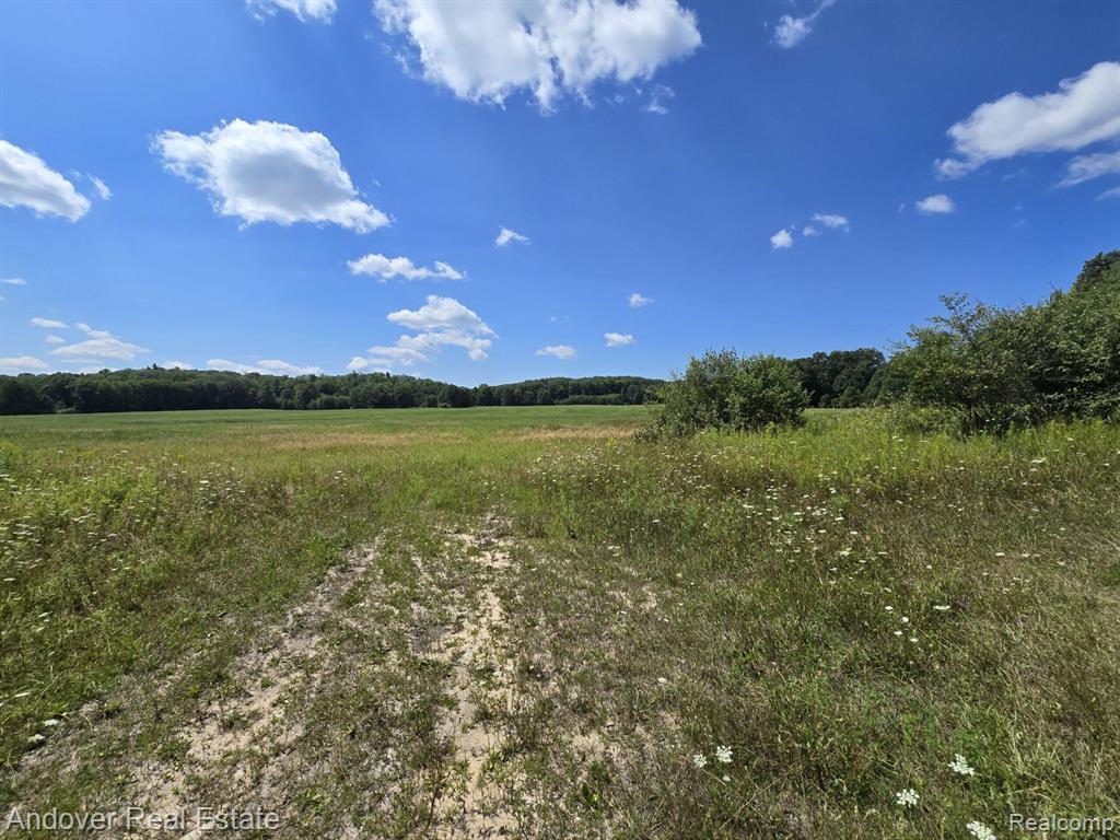 Leckrone Rd Parcel A, Brethren, MI 49619 — Photo 7