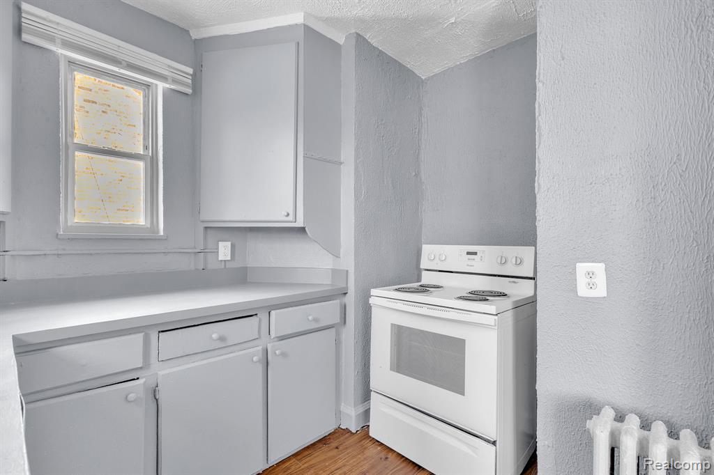 17701 Manderson Road, Highland Park, MI, 48203