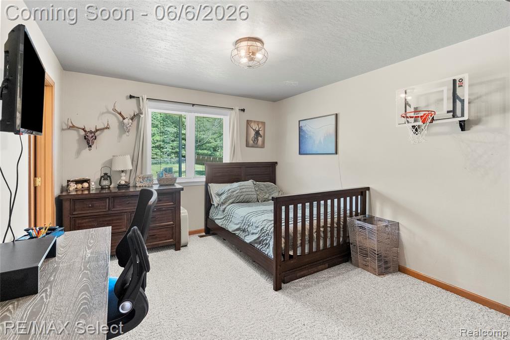 2288 Lost Creek Drive, Flushing, MI 48433 — Photo 39