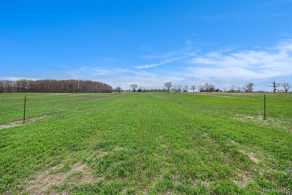 VL Parcel 2 Mohrle Road, Fowlerville, MI 48836 — Photo 3