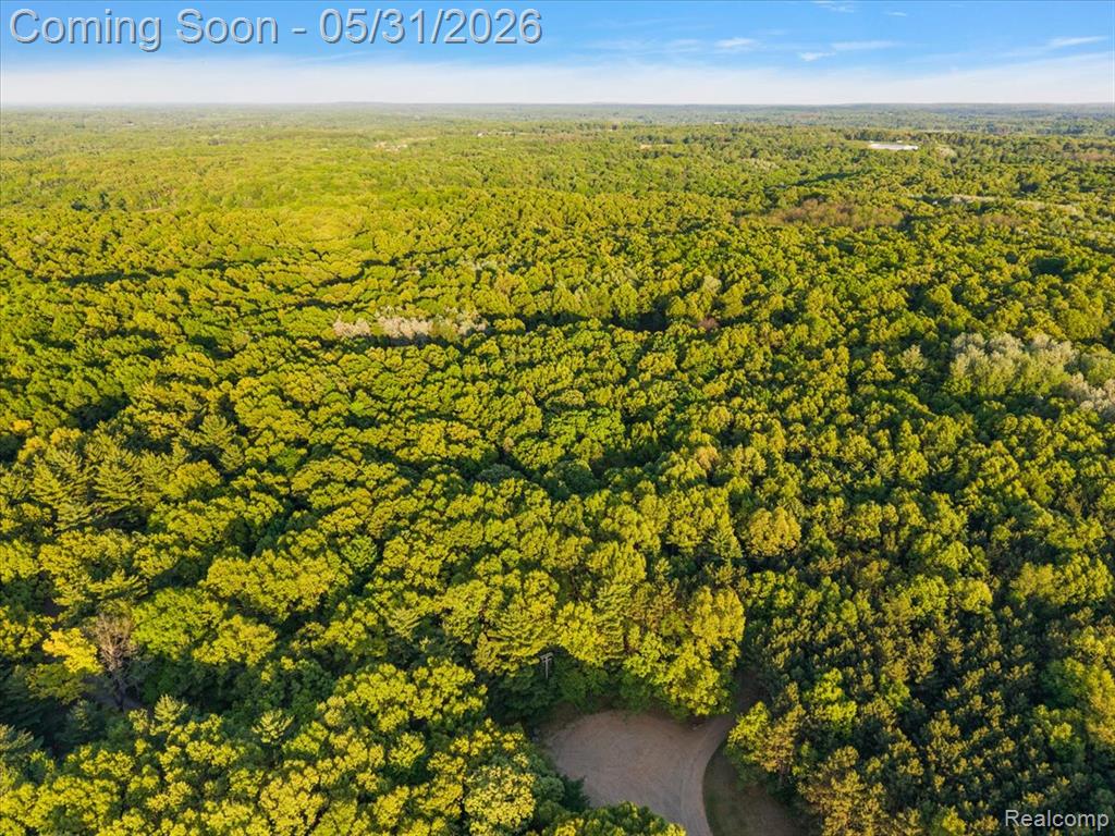 500 Hawk High Hill Road, Metamora, MI 48455 — Photo 21