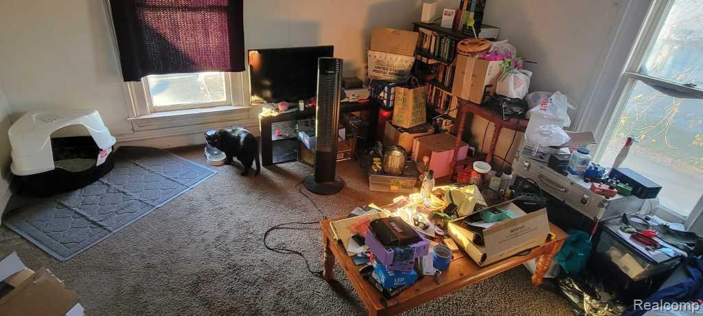20 S Grove Street, Ypsilanti, MI 48198 — Photo 11