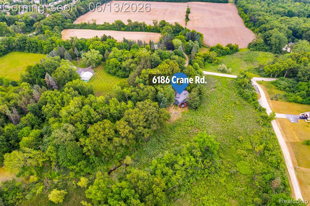 6186 Crane Road, Ypsilanti, MI 48197 — Photo 47