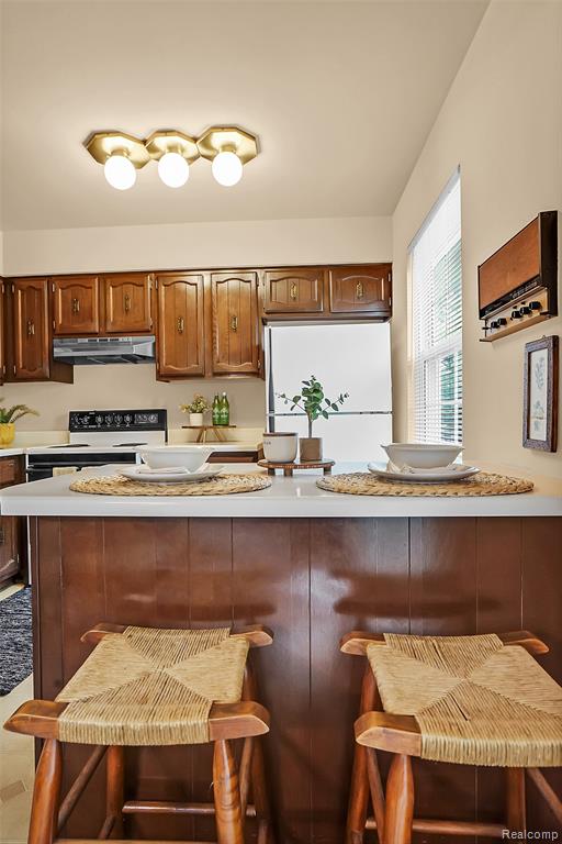 19931 Schoolhouse Court, Northville, MI 48167 — Photo 14