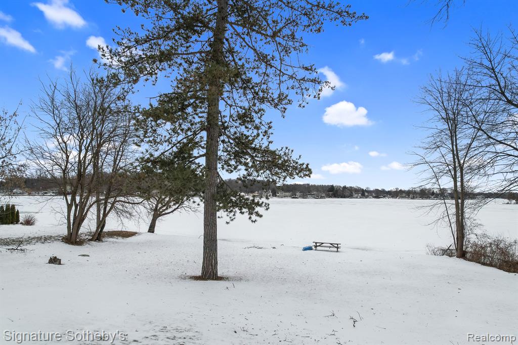 8041 GRAND RIVER Road, Brighton, MI 48114 — Photo 24