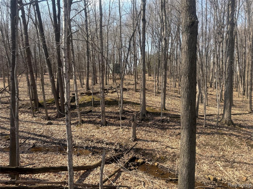 V/L Fulton, Mayville Vlg, MI 48744 — Photo 25