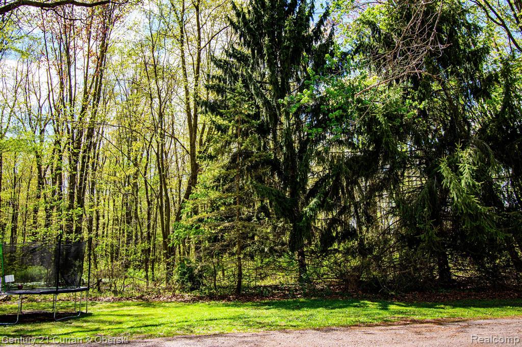 4055 MILNER Road, Stockbridge, MI 49285 — Photo 51