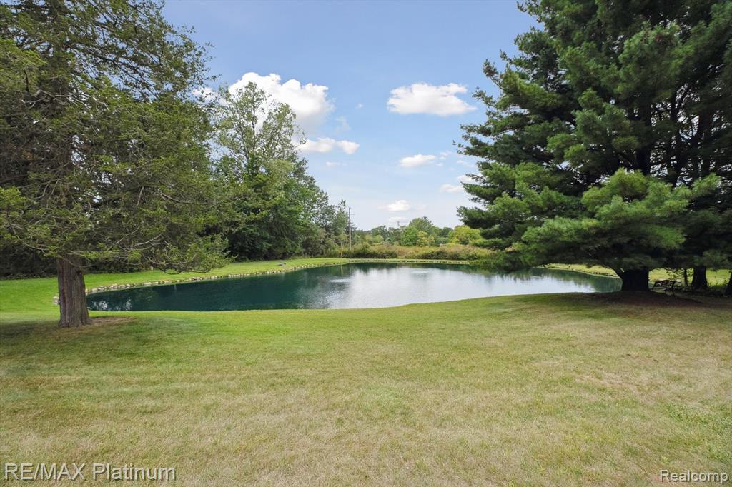 8872 Thornapple Drive, Pinckney, MI 48169 — Photo 12