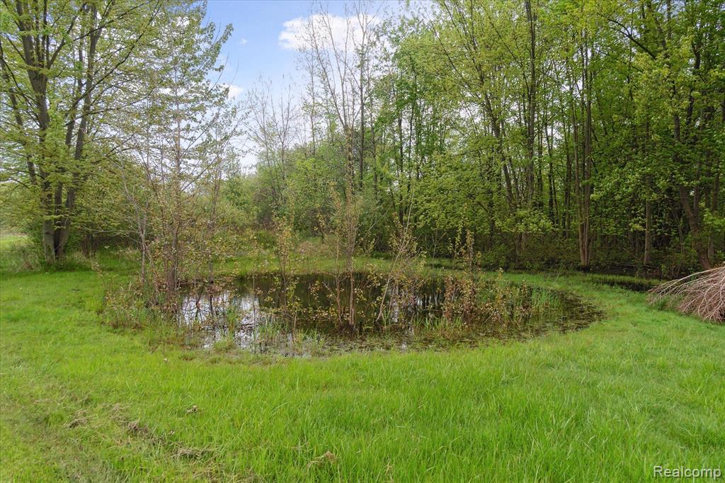 7244 Neff Road, Mount Morris, MI 48458 — Photo 33