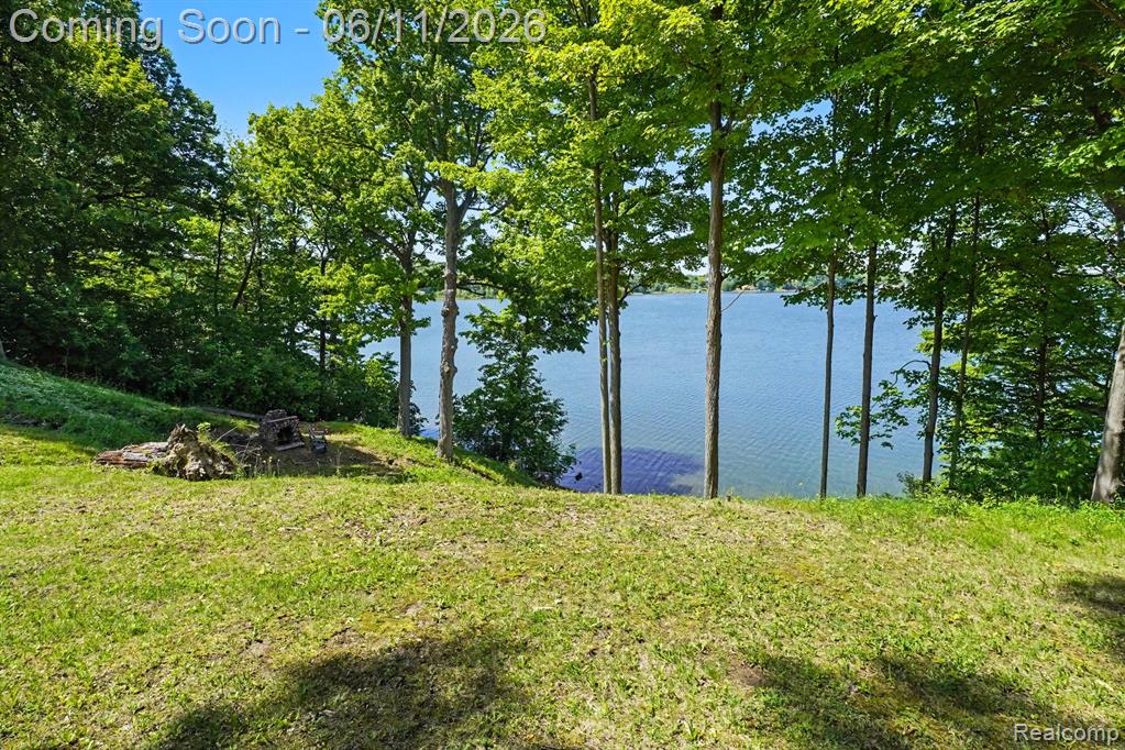 3931 S Shore Drive, Lapeer, MI 48446 — Photo 22