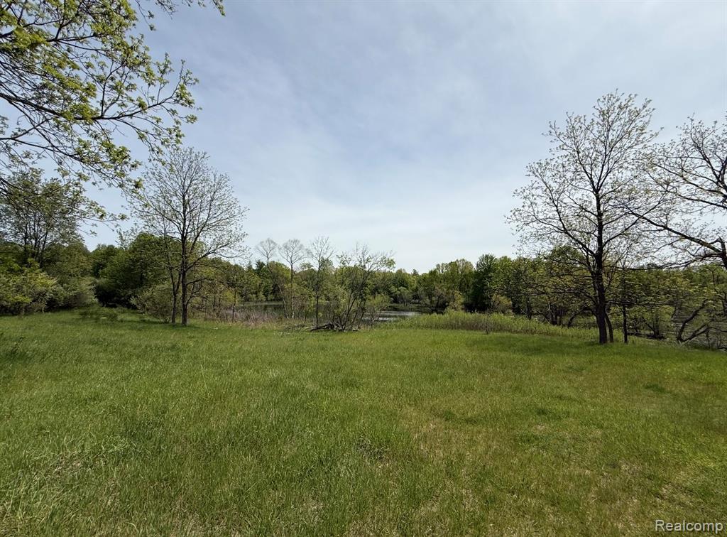 8450 Pepper Road - Photo 3