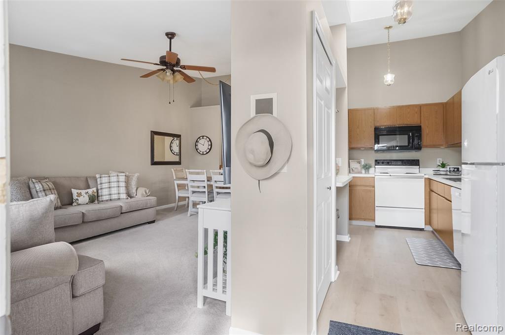 62512 Raleigh Court Court, 4, South Lyon, MI 48178 — Photo 9