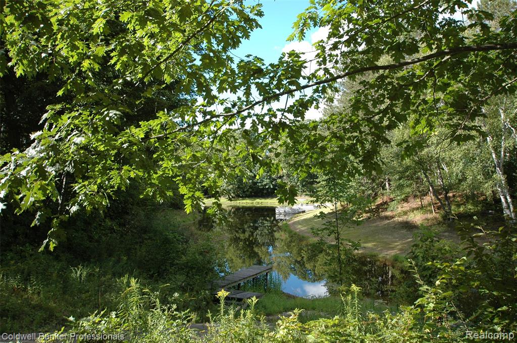 4266 River Drive NE, Gladwin, MI 48610 — Photo 17