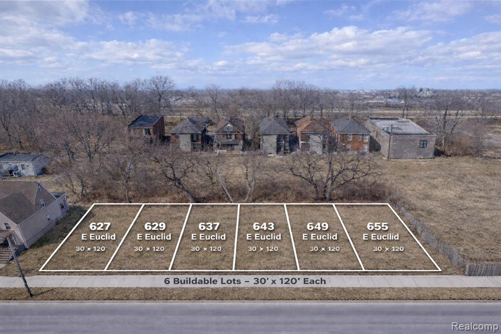 649 E Euclid Street, Detroit, MI 48202 — front exterior