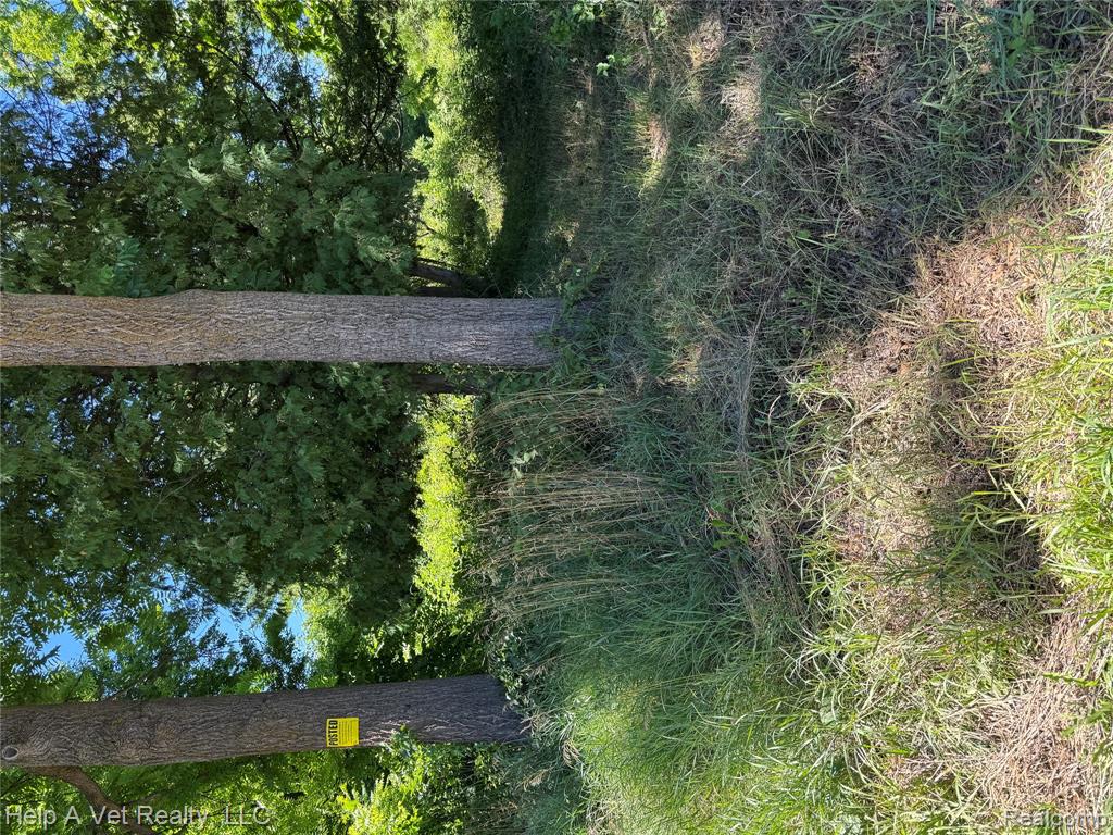 4991 Mayville Road, MI — Photo 3