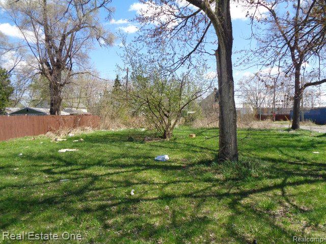 11802 SAINT LOUIS Street, Hamtramck, MI 48212 — Photo 4
