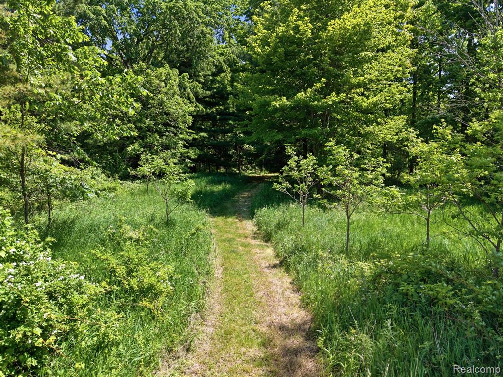 14830 County Line Road, Byron, MI 48418 — Photo 70