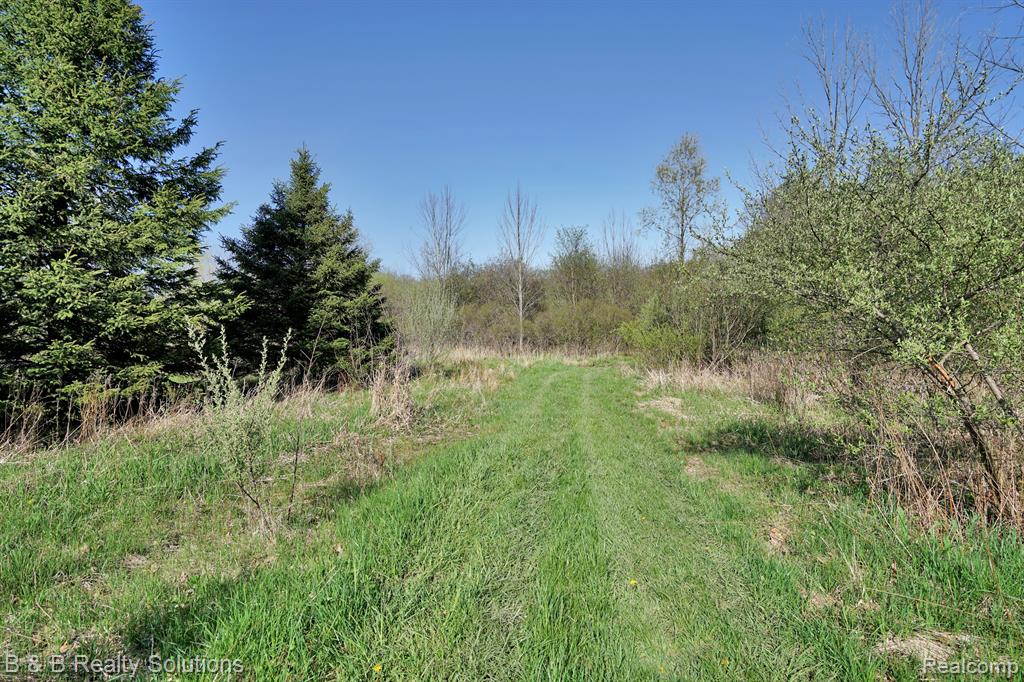 3200 N SUMMERS Road, Imlay City, MI 48444 — Photo 24