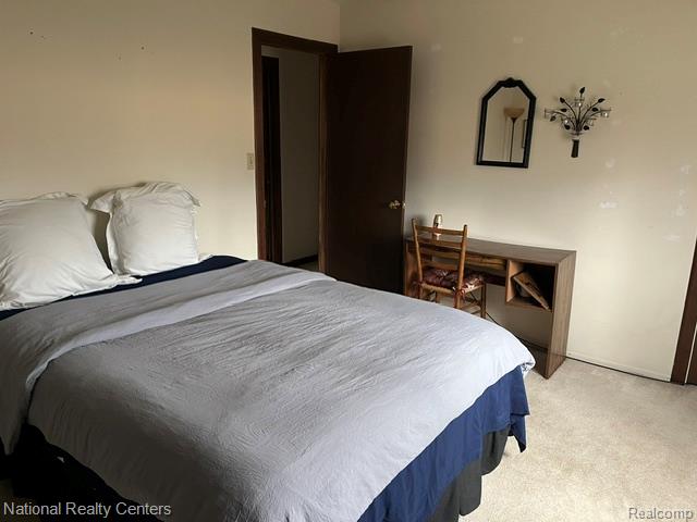 41292 N Woodbury Green Drive, Van Buren, MI 48111 — Photo 9