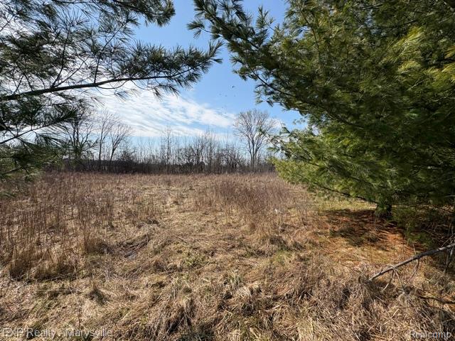 6919 Emmett Road, Brockway, MI 48097 — Photo 8