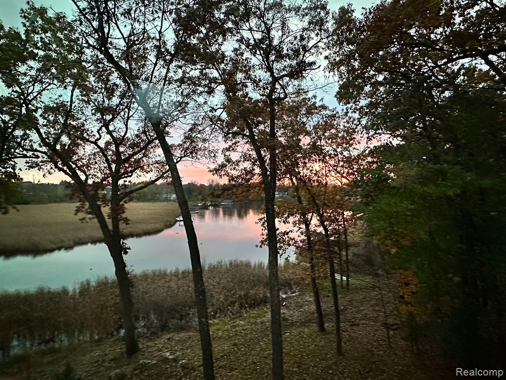 1723 HERON RIDGE Drive, Bloomfield Hills, MI 48302 — Photo 3