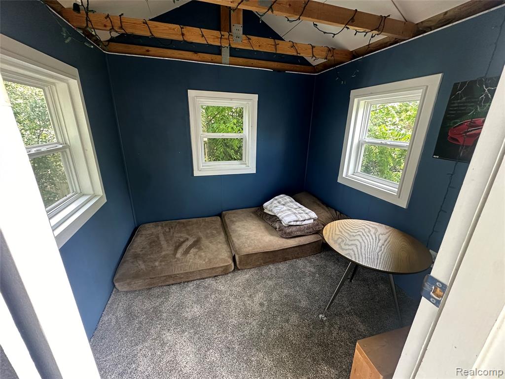 1827 N Franklin Court, Ann Arbor, MI 48103 — Photo 29
