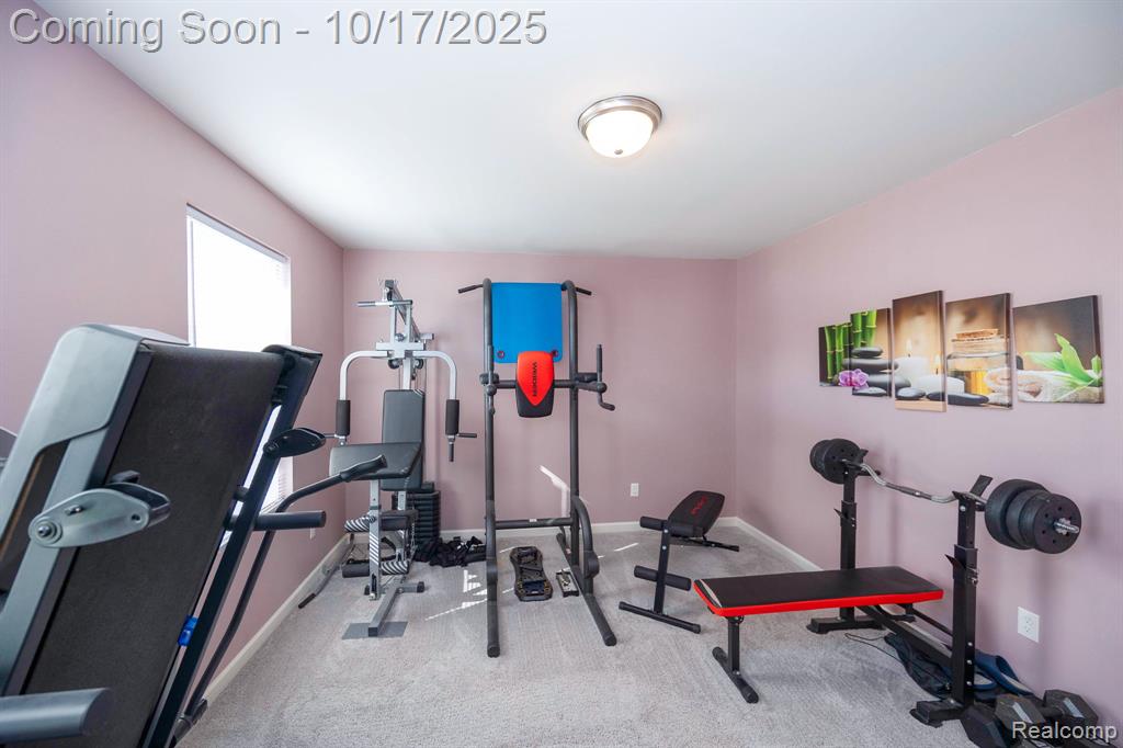 410 Natures Way, Carleton, MI 48117 — Photo 39