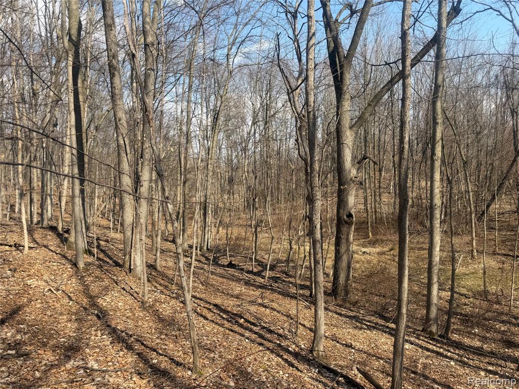 V/L Fulton, Mayville Vlg, MI 48744 — Photo 8