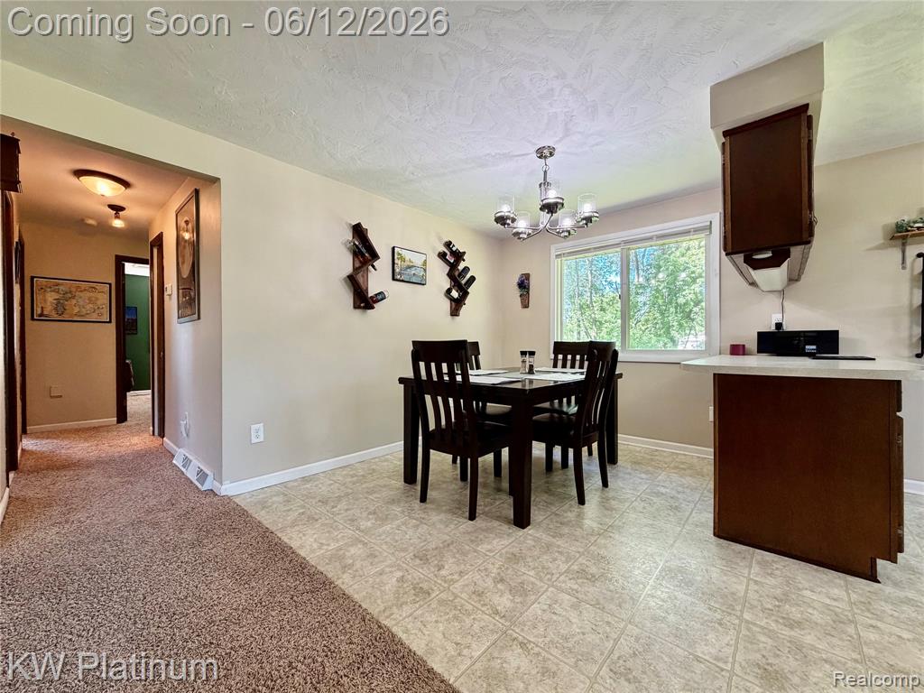 4059 Galbraith Line Road, Croswell, MI 48422 — Photo 13