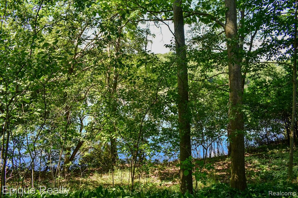 300 W Dewey Road, Owosso, MI 48867 — Photo 8