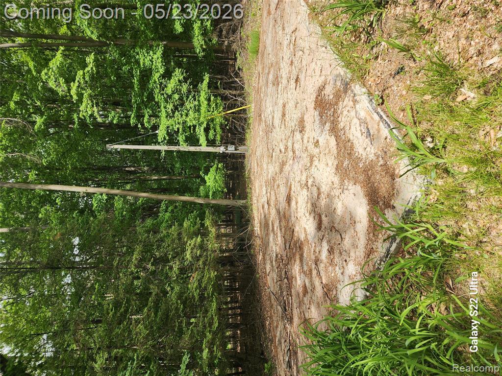 7110 Thom Drive, Brown, MI 48416 — Photo 10