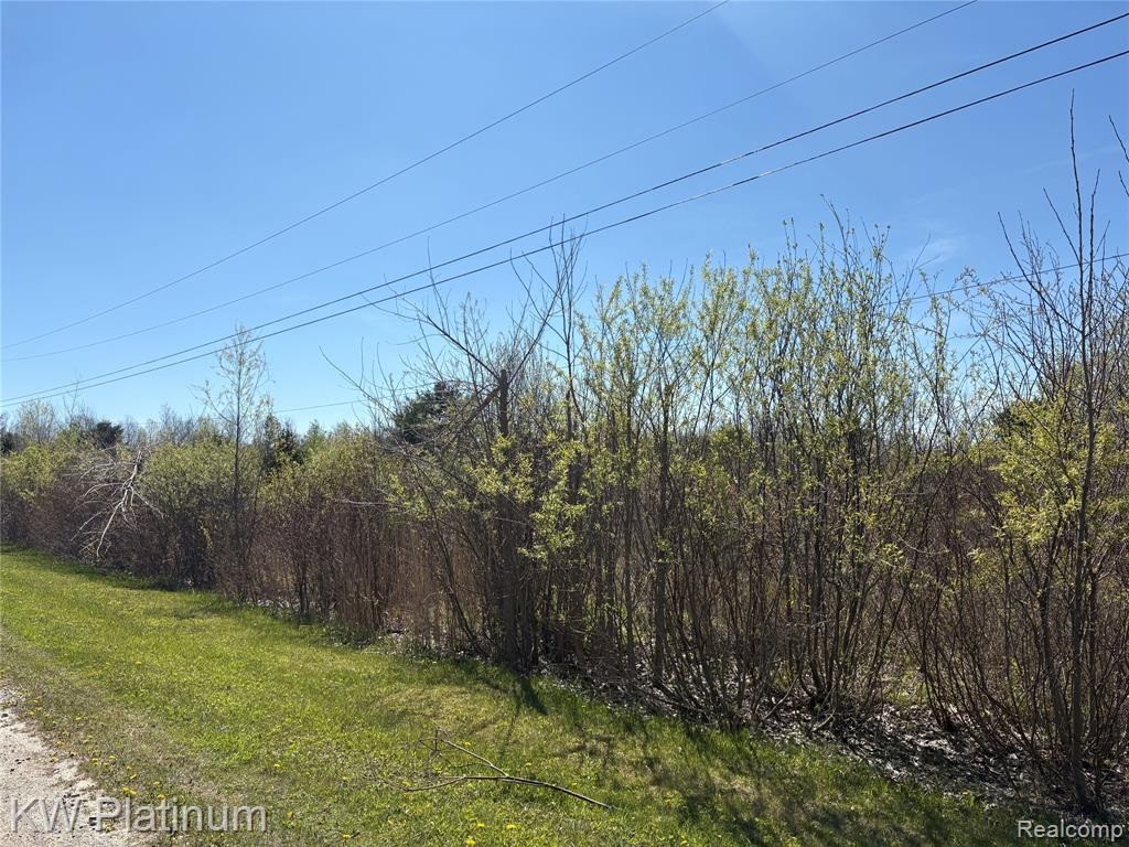 Parcel C Wicha Drive, Burtchville, MI 48059 — Photo 23