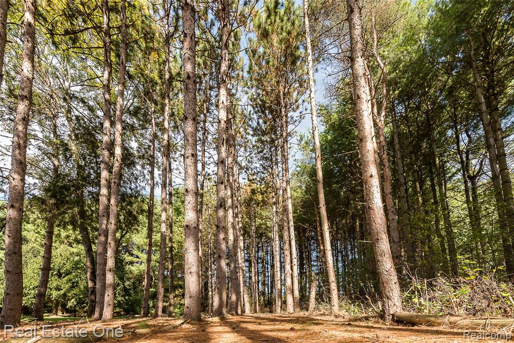 7155 Campbell Mills Court, Brighton, MI 48116 — Photo 56