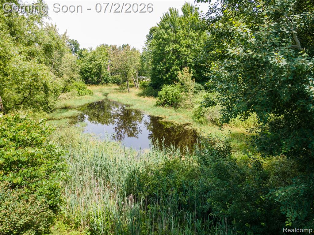 425 Knollwood Drive, Ortonville, MI 48462 — Photo 43