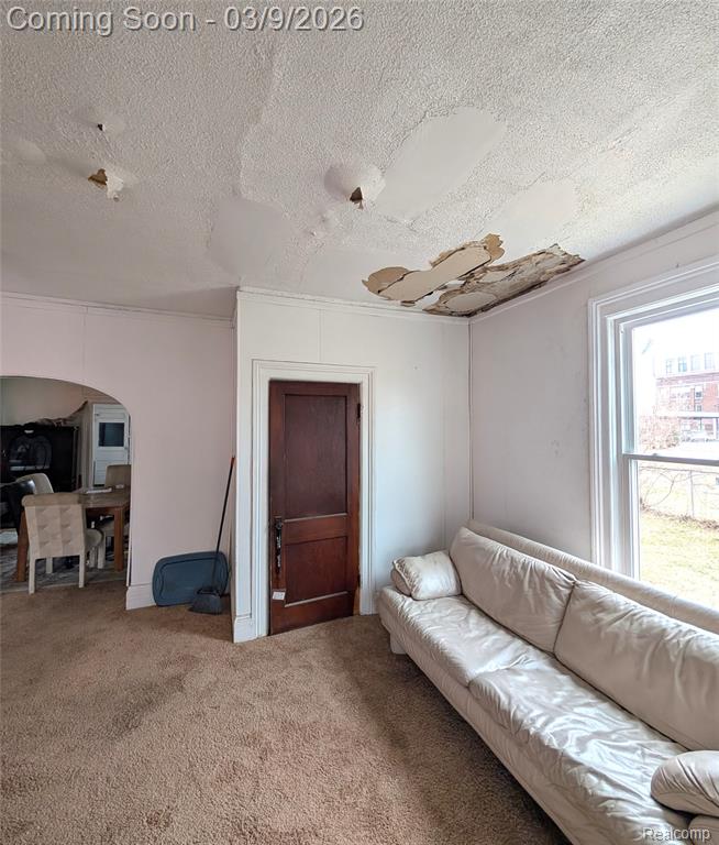 1415 Baldwin Street, Detroit, MI 48214 — Photo 29