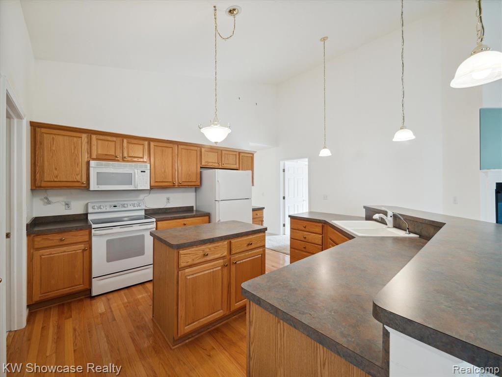 61011 EVERGREEN, South Lyon, MI 48178 — Photo 16