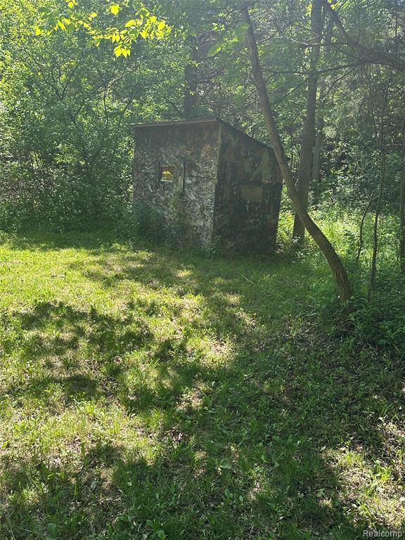 6161 River Road, Flushing, MI 48433 — Photo 57